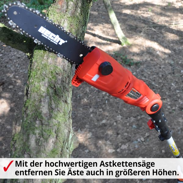 HECHT Elektro-Hochentaster 971 W Ast-Kettensäge Profi-Astsäge Teleskop Motorsäge inkl. Tragegurt (750 Watt, Schwertlänge: 24 cm, Arbeitshöhe: bis ca 4 m)